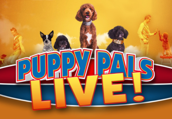 Puppy Pals LIVE Puppy Pals LIVE